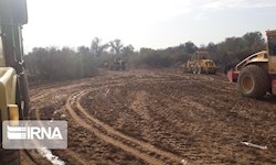 وقف ساخت سیل بند در زیستگاه گوزن زرد در خوزستان