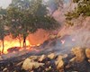 منطقه حفاظت شده «دیل» گچساران هم چنان در آتش می سوزد