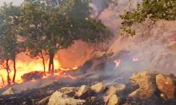 منطقه حفاظت شده «دیل» گچساران  هم چنان در آتش می سوزد