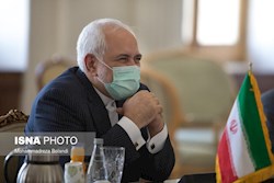 صالحی: ظریف یک برند بین‌المللی برای ایران است