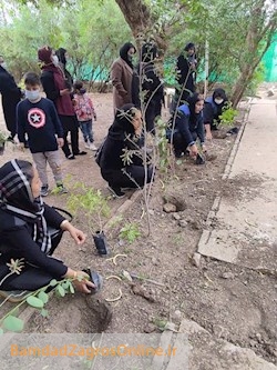 گزارش تصویری برنامه جنگلانه