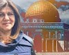واکنش غریبآبادی به حمله صهیونیستها به مراسم تشییع «ابوعاقله»