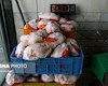 توزیع مرغ منجمد برای تعدیل قیمت مرغ در بازار
