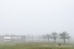 هشدار نارنجی وقوع مه و کاهش دید در خوزستان