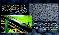 «زغال زیستی» از باگاس نیشکر تولید شد