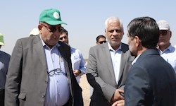 گزارش تصویری بازدید اعضای هیئت امنای موسسه تحقیقات و آموزش نیشکر و صنایع جانبی خوزستان از روند رشد واریته‌های جدید