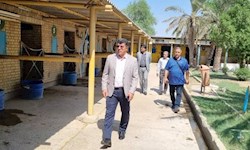 علاقه‌مندی فدراسیون به احیای چوگان در آبادان و شمال خوزستان