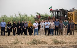 عکاسان خوزستانی «راویان پیشرفت» صنعت نیشکر شدند