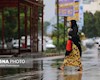 بارش باران و کاهش دمای برخی استانها
