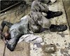 تحمل طبقه آخر جهنم برای ممانعت از خاموشی کشور