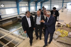 استاندار: باید آب سالم و با کیفیت در اختیار مردم خوزستان قرار بگیرد