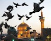 دلم خورشید می‌خواهد ...