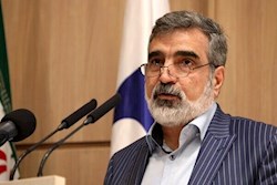 معاون سازمان انرژی اتمی: ایران تنها کشوری نیست که غنی‌سازی می‌کند و در عین حال سلاح هسته‌ای ندارد