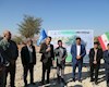 کاشت ۵۰۰ اصله نهال در منطقه آلوده به نشت نفت و گاز شهر مسجدسلیمان