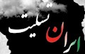 شهادت ، پاداش خدمت خادم الرضا(ع)