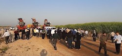 "دهخدا" سرسبزتر از "اهواز"