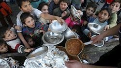 به‌سوی غزه، اربعینِ خون و بیداری