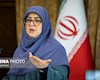 مهاجرانی: گفتوگو در خصوص مسائل هستهای با شرایط پیچیده مواجه شده است