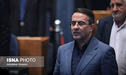 رفیع‌زاده: دولت مصمم به حل موضوع تبدیل وضعیت نیروهای شرکتی است