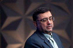برگزاری الکترونیک انتخابات نظام پزشکی تا ساعت ۱۷/ تمدید ساعت در صورت نیاز/ اعلام نتایج تا فردا صبح