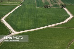 طرح ۵۵۰ هزار هکتاری خوزستان همچنان در ایستگاه سکوت و توقف!