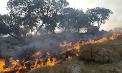 عملیات اصلی اطفای حریق جنگل‌های مازندران به پایان رسید/ لکه‌گیری همچنان ادامه دارد