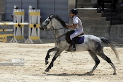 اعلام آمادگی سوارکاری خوزستان برای راه‌اندازی مرکز قرنطینه اسب در اهواز