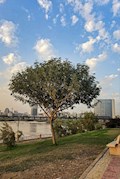 اهواز زیبا