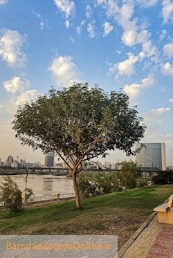 اهواز زیبا