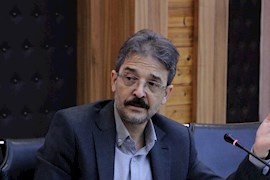 اختصاص ۱۰۰ میلیارد تومان تسهیلات برای توسعه خوشه خرمای خوزستان