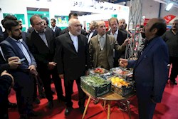 پیشتازی مجتمع کشت و صنعت آرکان پردیس در کشاورزی نوین خوزستان؛ تولید ارگانیک و اشتغالزایی بدون اخذ تسهیلات