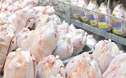قیمت‌گذاری هفتگی ۵۰ قلم کالای اساسی در خوزستان/ درج قیمت مصرف‌کننده روی بسته‌های مرغ