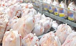قیمت‌گذاری هفتگی ۵۰ قلم کالای اساسی در خوزستان/ درج قیمت مصرف‌کننده روی بسته‌های مرغ