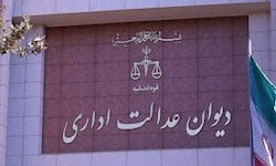 قاضی دیوان عدالت اداری: حقوق مردم با اینترنت گره خورده است / تصمیم اخیر ناظر به محدودسازی اینترنت نیست ؛ فقط درباره یک "ستاد اداری" است