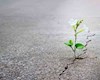 گاهی نرسیدن، زودتر از رسیدن اتفاق میافتد
