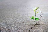 گاهی نرسیدن، زودتر از رسیدن اتفاق میافتد