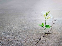 گاهی نرسیدن، زودتر از رسیدن اتفاق میافتد