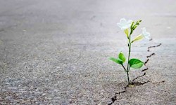 گاهی نرسیدن، زودتر از رسیدن اتفاق میافتد