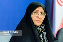 نوری: رهبر انقلاب حامی دولت هستند و هرکس چوب لای چرخ دولت بگذارد راه به جایی نمی‌برد