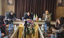 تاب‌آوری با تحمل فشار بی‌نهایت محقق نمی‌شود/ ضرورت تقویت مدیریت مادرانه در بحران‌ها