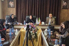 تاب‌آوری با تحمل فشار بی‌نهایت محقق نمی‌شود/ ضرورت تقویت مدیریت مادرانه در بحران‌ها