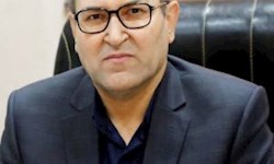 تقویت ذخایر راهبردی و حمایت از تولیدکنندگان/ اولویت شرکت پشتیبانی امور دام خوزستان