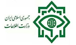 وزارت اطلاعات: ۴ شبکه خرابکاری خیابانی منهدم شدند
