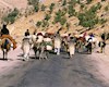 حکایت درد آور کوچ