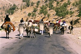 حکایت درد آور کوچ