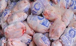 بازار مرغ، دست دلالان افتاده است / چند ترفند مرغی کشتارگاه‌ها!