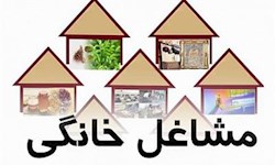 جزئیات اجرای طرح ملی توسعه مشاغل خانگی در خوزستان اعلام شد .